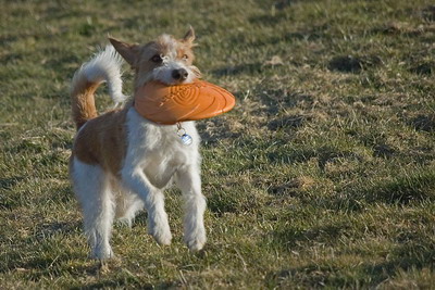 Amelie in jungen Jahren mit Frisbee