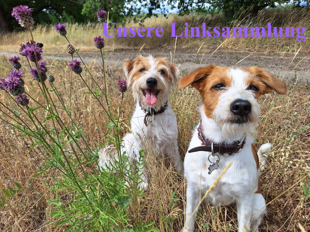 Linksammlung von Nouri und Aiva