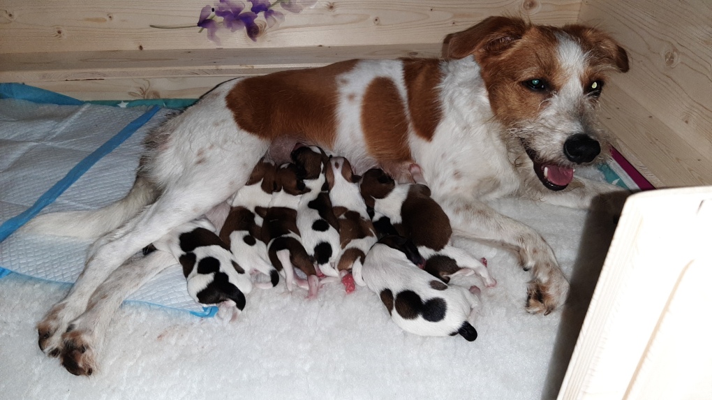 Nouri unmittelbar nach der Geburt ihrer Babys