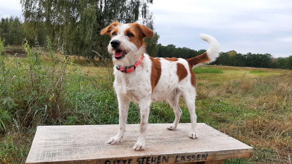 Unterwegs in den Rieselfeldern