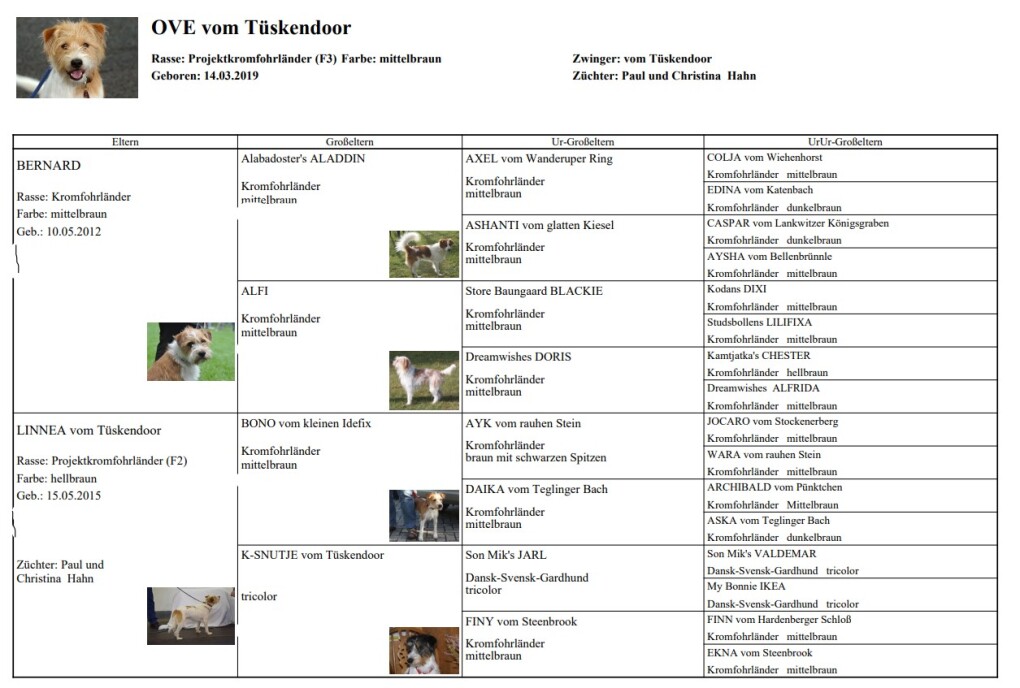 Stammbaum Ove vom Tüskendoor