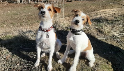 Nouri und Frieda noch ganz jung