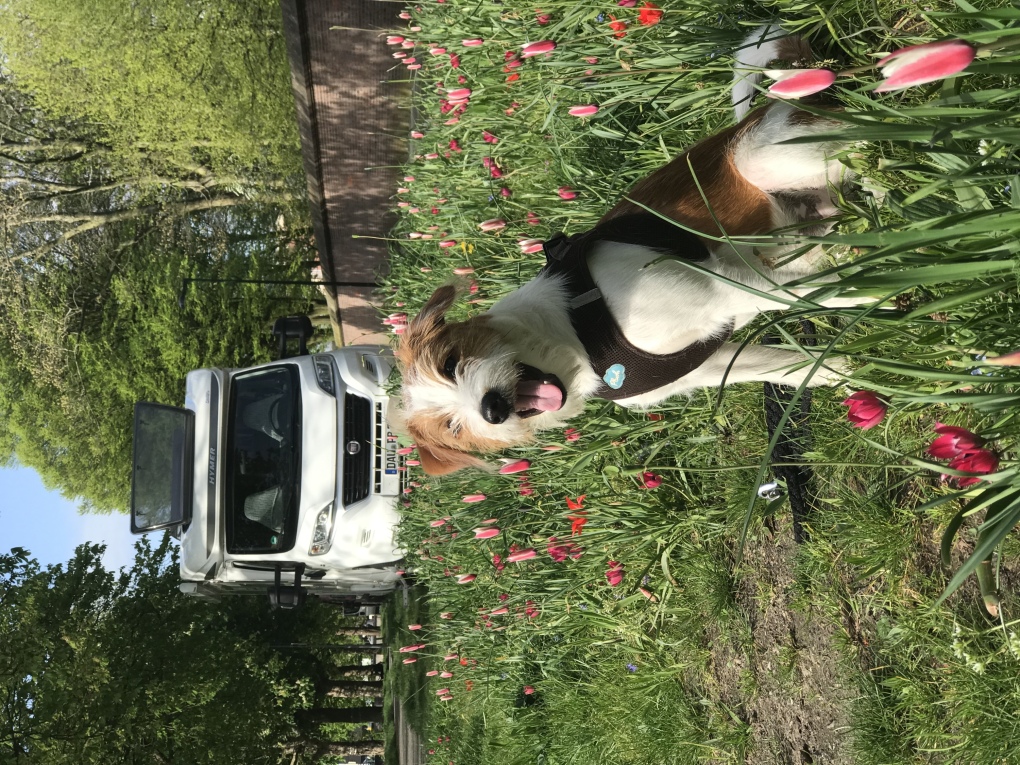 Aram unterwegs mit dem Wohnmobil