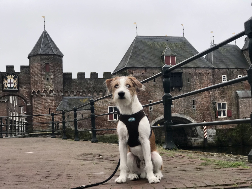 Aram in den Niederlanden