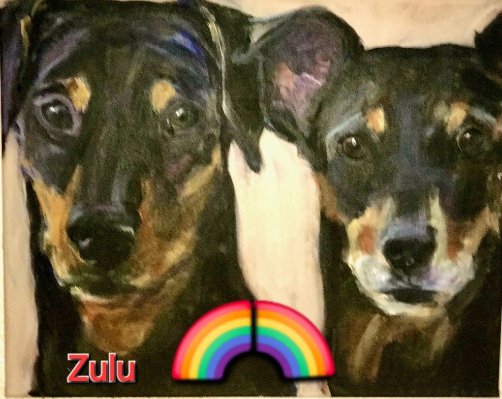 Seelenhund Pinscher Zulu