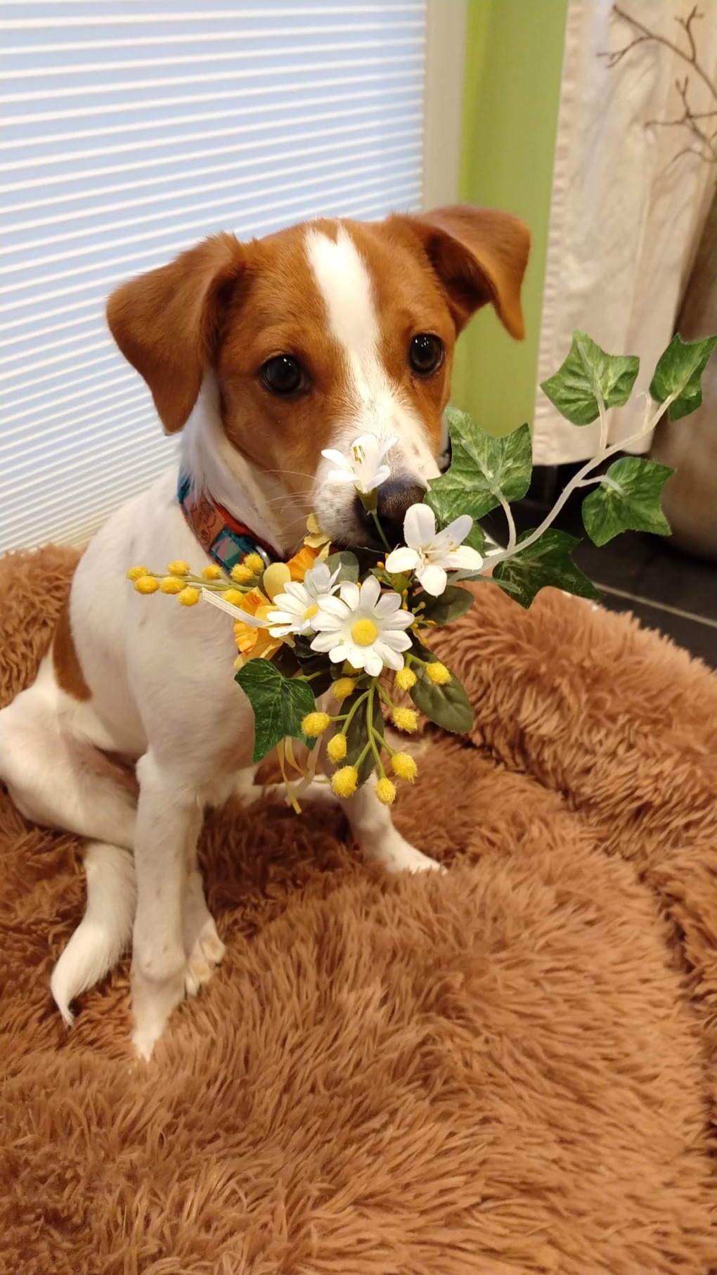 Yuri, 4,5 Monate alt