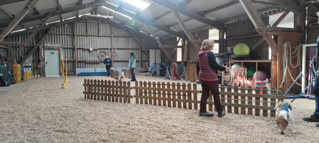 Trainingshalle der Hundeschule von Monika Reinartz