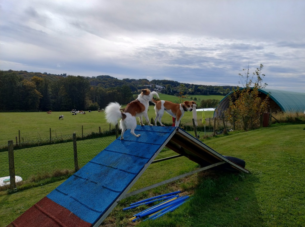 Verschnauf-Pause beim Kromi-Seminar